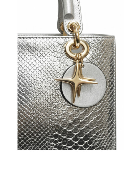 Cerise Women’s Hand & Shoulder Bag Silver